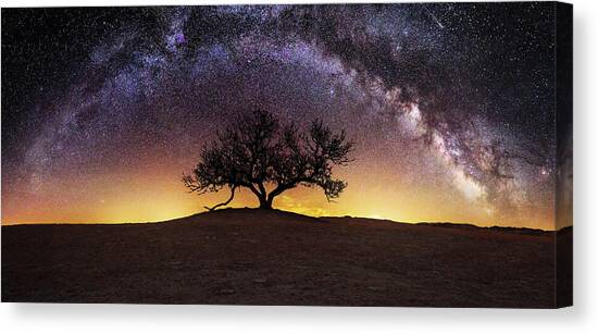 Tree of Wisdom Canvas Art Print by Aaron J Groen