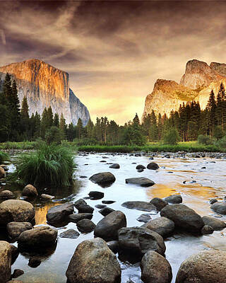 Nature Art Prints for Sale