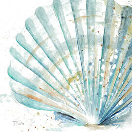 Water Shell by Patricia Pinto