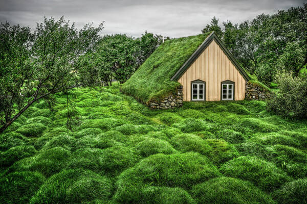 Cozy Grass-Covered Cabin Art Print