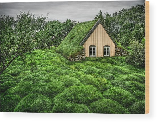 Cozy Grass-Covered Cabin Wood Print