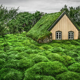 When Heaven Calls Your Name by Evelina Kremsdorf